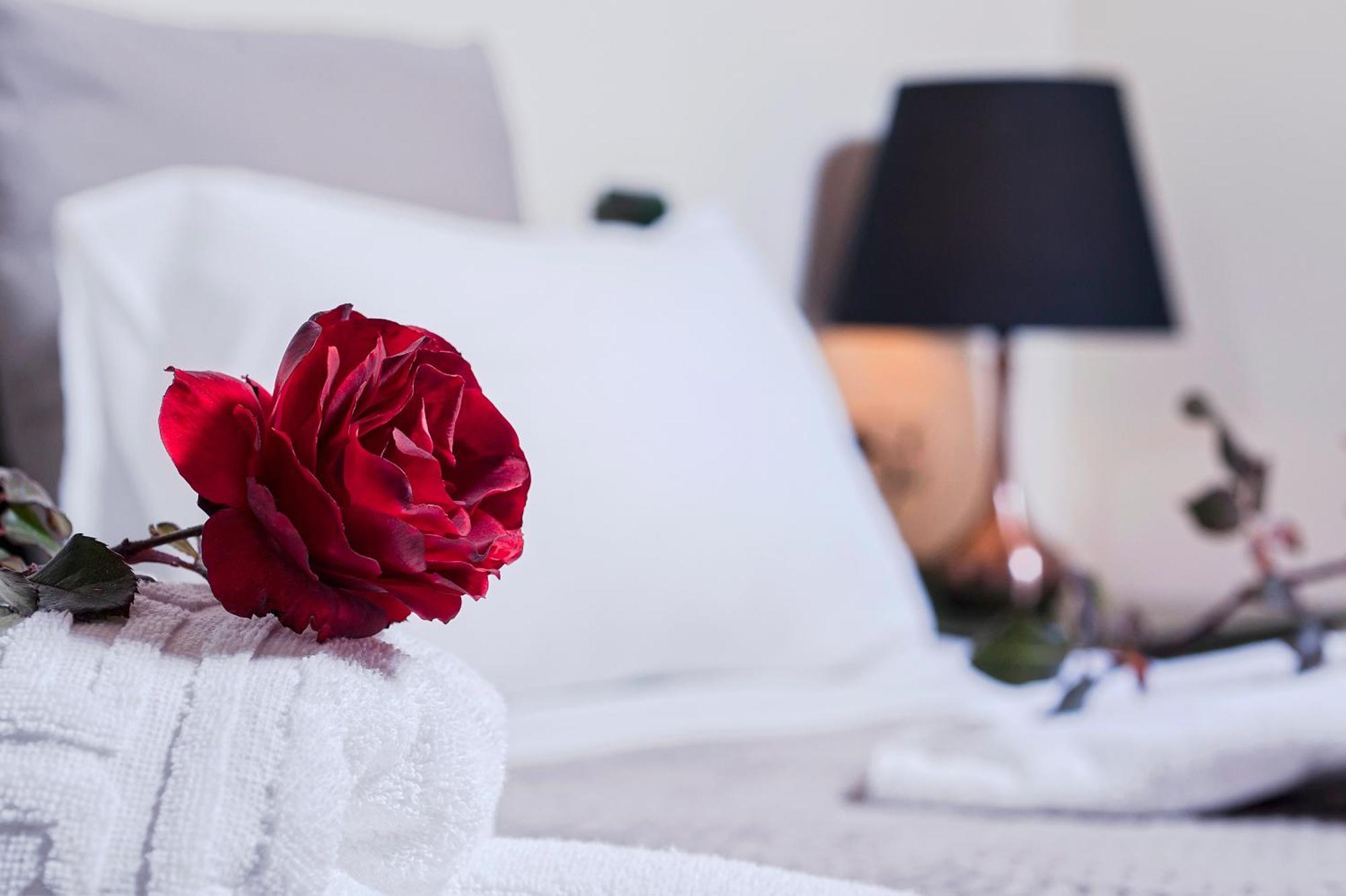 Kyriaki'S Cozy Apartments Agia Marina 외부 사진